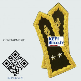 Paire de pattes épaules Général 2 étoiles pour spencer Gendarmerie