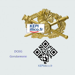 Brevet Opj DQSG Gendarmerie - officier de police judiciaire