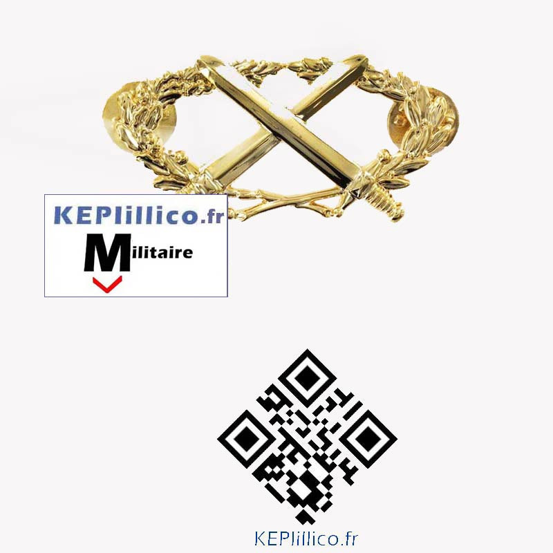 Brevet Militaire Professionnel Or BMP2 BSAT