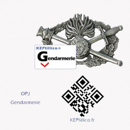 Brevet Opj Gendarmerie - officier de police judiciaire