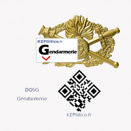 Brevet Opj DQSG Gendarmerie - officier de police judiciaire