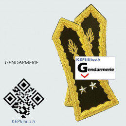 Paire de pattes épaules Général 2 étoiles pour spencer Gendarmerie