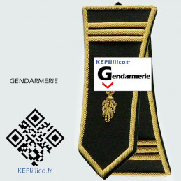Paire de pattes épaules Capitaine pour spencer Gendarmerie