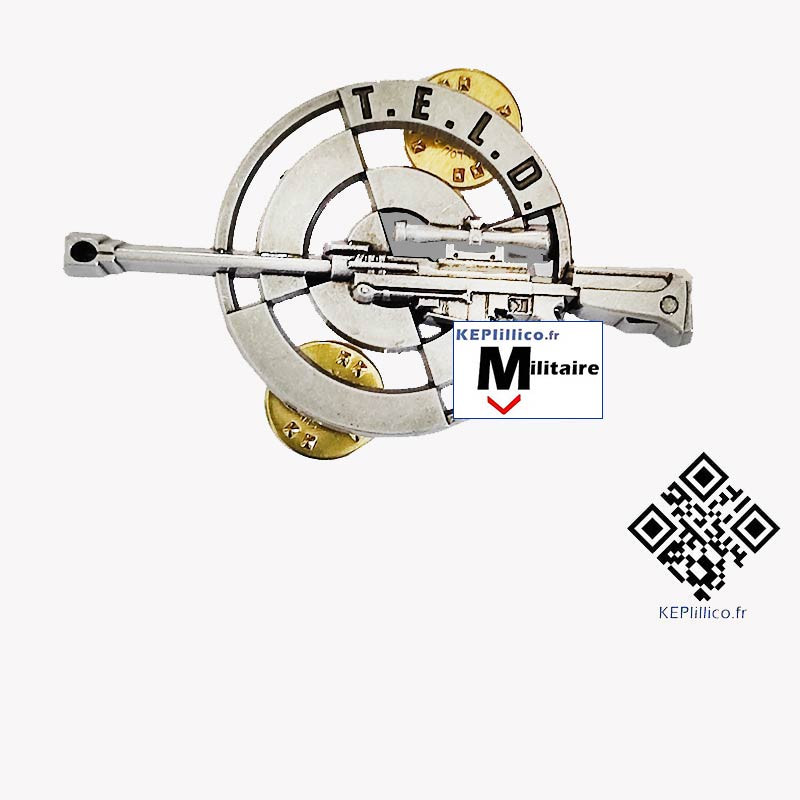 Brevet ARGENT Tireur d'Elite Longue Distance TELD