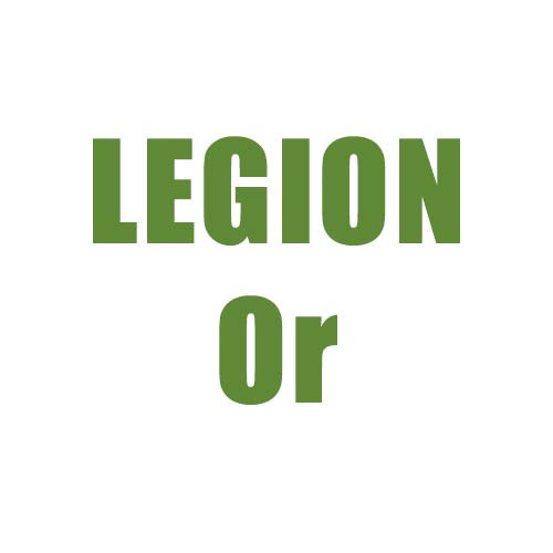 Légion Or Infanterie ou Génie